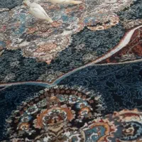 جوجه عروس هلندی|پرنده|رباط‌کریم, شترخوار|دیوار