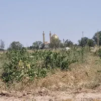 زمین مسکونی در روستای شارین شهرستان تاکستان