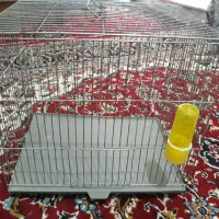 آیفون،چهار شاخه لوستر،قفسه|لوستر و چراغ آویز|نظرآباد, نظرآباد|دیوار