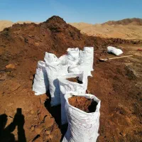 کود گوسفندی