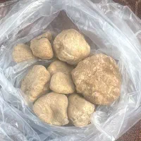 دنبل.دنبلان.قارچ کوهی