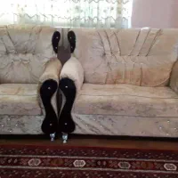 مبل راحتی ۷ نفره