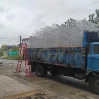 حفاظ شاخ گوزنی|مصالح و تجهیزات ساختمان|تالش, هشتپر|دیوار