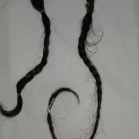 فروش مو