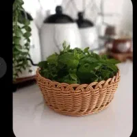 سبد بافی نفیس(آوید)