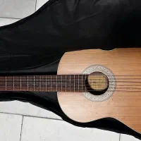 گیتار پارسی