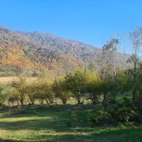 فروش زمین در مازندران