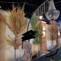 اورال پلنگی سایز ۳۸