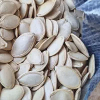 تخمک کدو گوشتی لوکس