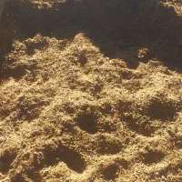 فروش سمات  گاو