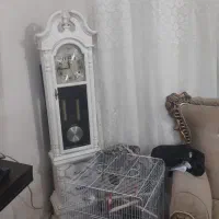 ساعت ایستاده|ساعت دیواری و تزئینی|اهواز, کوی منابع طبیعی|دیوار