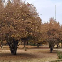 زمین شهرک مولوی تاکسیرانی