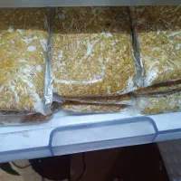 روغن و کره محلی