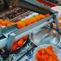 دستگاه آب نارنج گیری