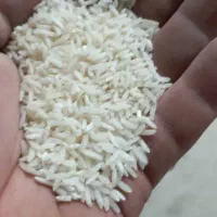 برنج ایرانی درجه یک مستقیم از کارخانه