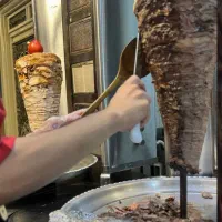 دستگاه شاورما اصل سوری  و کباب ترکی