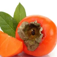 خریدار خرمالو