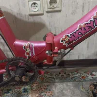 دوچرخه حرفه ای دخترانه|دوچرخه، اسکیت، اسکوتر|قم, پردیسان|دیوار