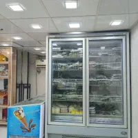 فریزر دو در ایستاده الکترو استیل دالاهو