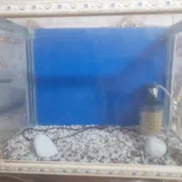 آکواریوم