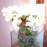 آبنما با درختچه شکوفه و صخره|صنایع دستی و سایر لوازم تزئینی|تهران, توحید|دیوار