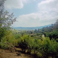 1500مسکونی کوهستانی بر اسفالت|فروش زمین و ملک کلنگی|احمدسرگوراب, |دیوار