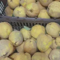 به شیرین و خوش طعم