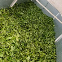 چای سفارشی