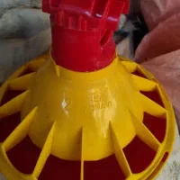 دانخوری بشقابی خالی کوناوی ۵۲۵عدد فروشی