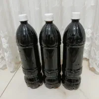شیره انگور دیم