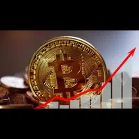 تدریس بازارهای مالی فارکس و ارز دیجیتال ازصفرتاصد