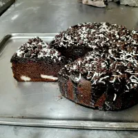 شاطر نان فانتزی جویای کار