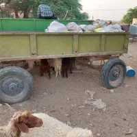 تریلی‌تراکتور|خودرو سنگین|امیدیه, |دیوار