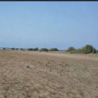 فروش 800 قصب زمین و دو حبه آب نگار بردسیر .