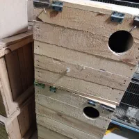 لونه لانه چوبی طوطی|لوازم جانبی حیوانات|ملارد, |دیوار