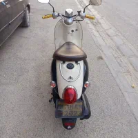 پاکشتی وینو ژاپن