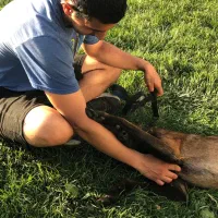 مربی سگ|خدمات آموزشی|اندیشه, اندیشه فاز ۴|دیوار