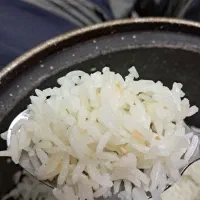 طارم فجر فریدونکنار فوق عطری فوق ممتاز بشرط ضمانت|خوردنی و آشامیدنی|تهران, قصر فیروزه ۱|دیوار