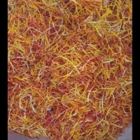 ریشه زعفران