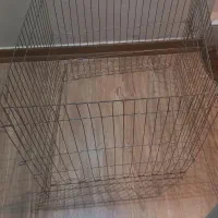 پارک حیوانات خانگی گربه/خرگوش /سگ