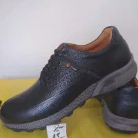 کفش|کیف، کفش، کمربند|فسا, |دیوار