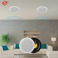 باند سقفی، سیستم صوتی سقفی،آمپلی فایر سقفی ،دیواری