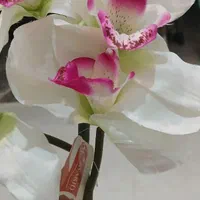 فروش گل ارکیده لمسی ۱۵ شاخه لوکس|گل مصنوعی|صومعه‌سرا, |دیوار