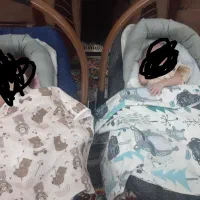 دوعددکریرنوفقط دوسه باراستفاده شده