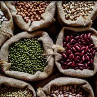 انواع حبوبات ولبنیات خراسان