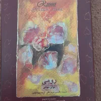 دیوان حافظ و مثنوی مولوی|کتاب و مجله ادبی|کرج, چهارصد دستگاه|دیوار