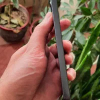 mi 12 lite 5G 256/8|موبایل|تهران, نیکنام|دیوار