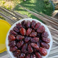 خرما کبکاب دستچین شده دشتستان|خوردنی و آشامیدنی|تهران, زعفرانیه|دیوار