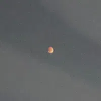 فروش دو عدد فیش حج تمتع 86