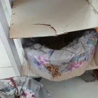 جا سیب زمینی پیاز|آب‌چکان و نظم‌دهنده ظروف|مشهد, هفت تیر (حافظ)|دیوار